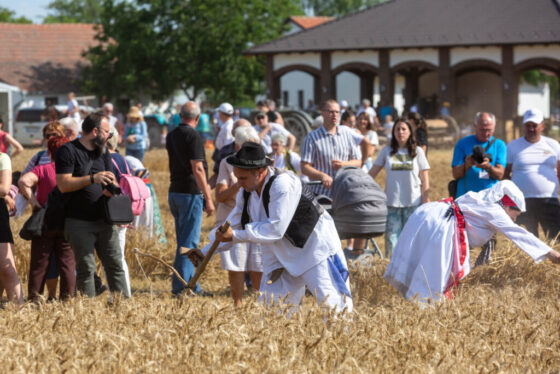 U Đurđinu održano tradicionalno, 59. „Takmičenje risara“